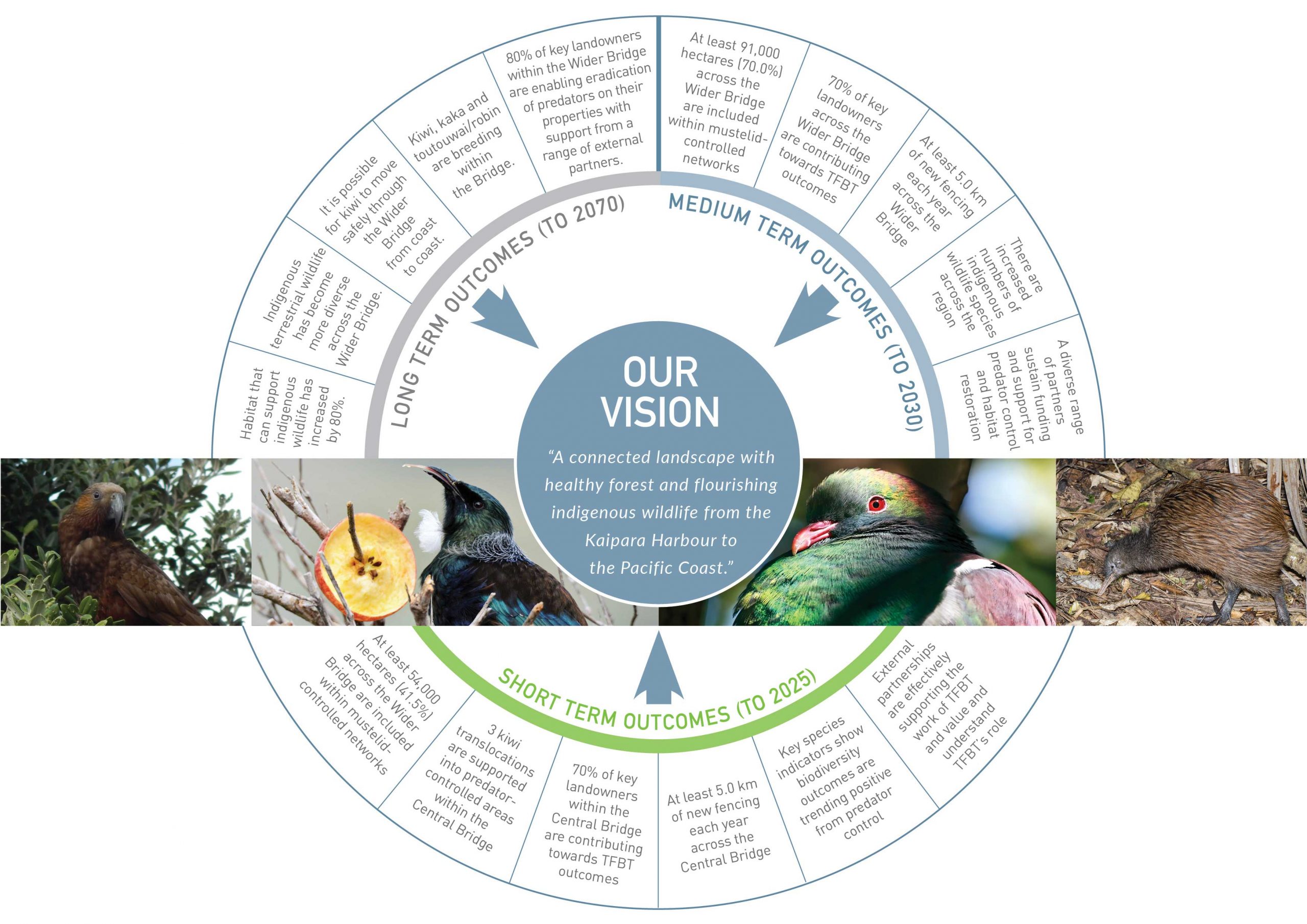 strategic-direction-october-2022-the-forest-bridge-trust